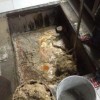 西安隔油池清理多少钱-专业的西安隔油池清理哪里有